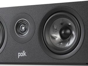 Polk R300